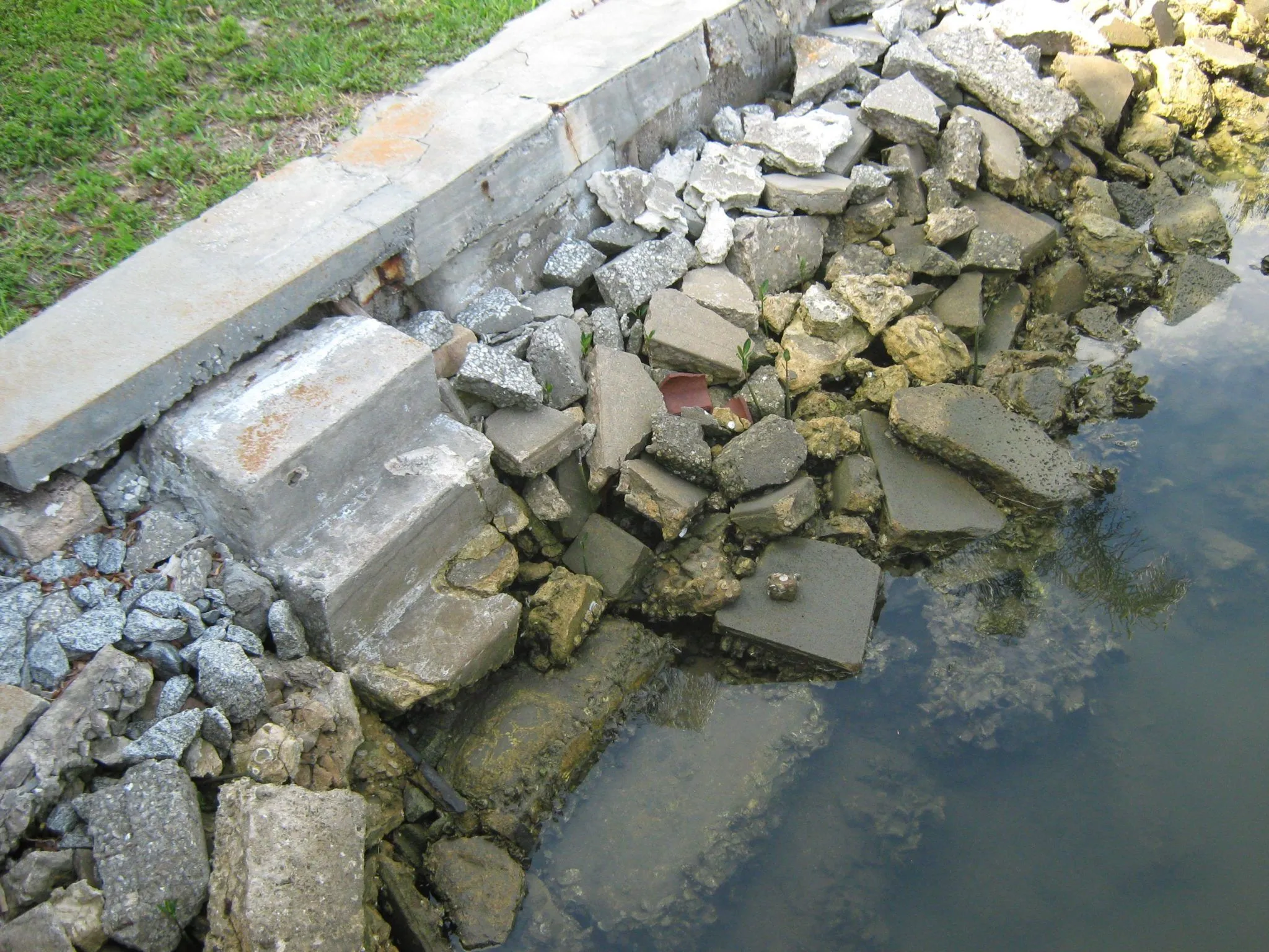 Seawall Repair Professionals in Leesburg