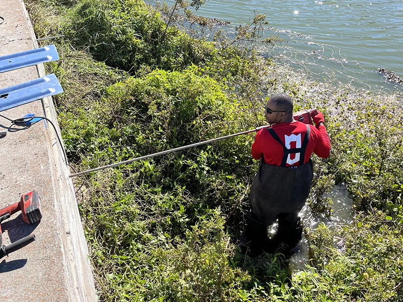Seawall Repair Professionals in Leesburg