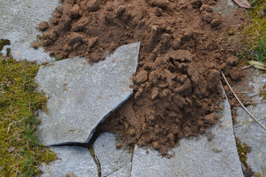 Soil Stabilization Services in Leesburg